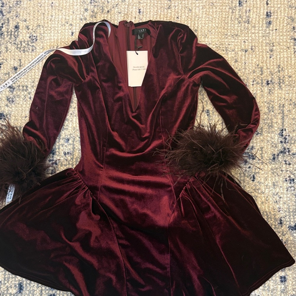 Deep Red Velvet Dress with Feather Accents